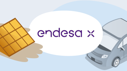 Endesa X