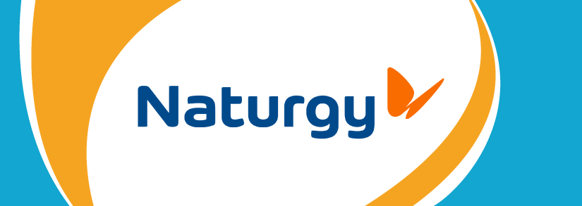 Comercializadora de luz y gas: Naturgy
